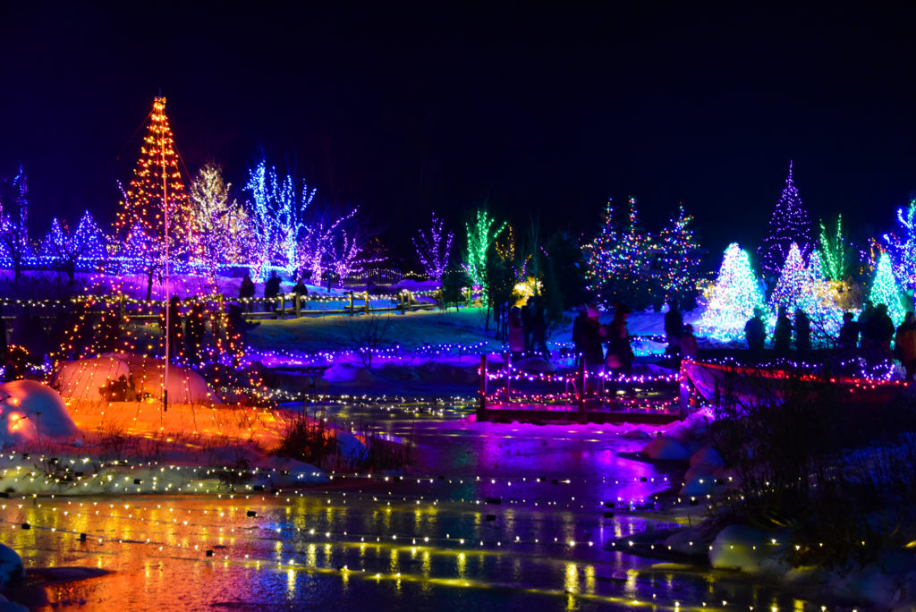 Light Display at Night. Photo Provided by Coastal Maine Botanical Gardens