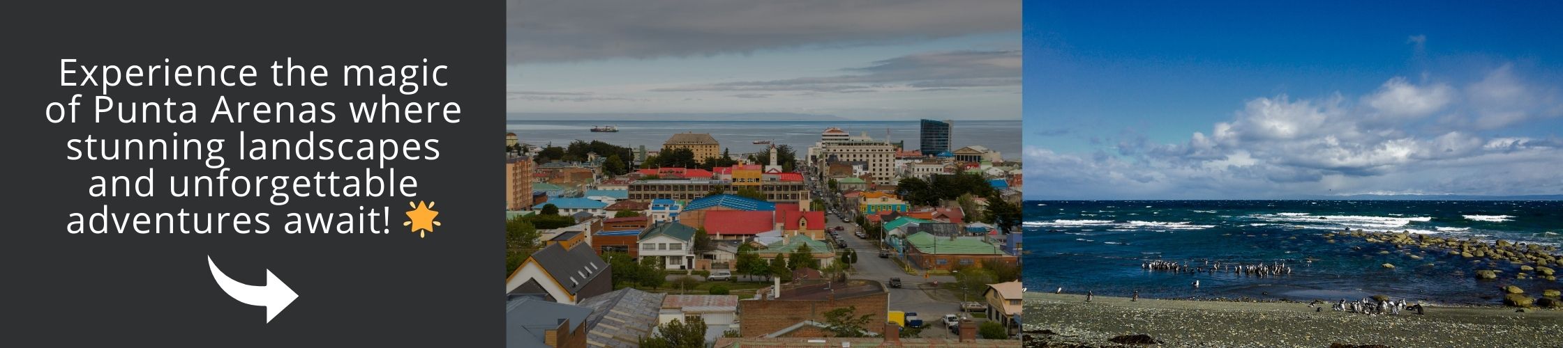 Visit Punta Arenas | Chile