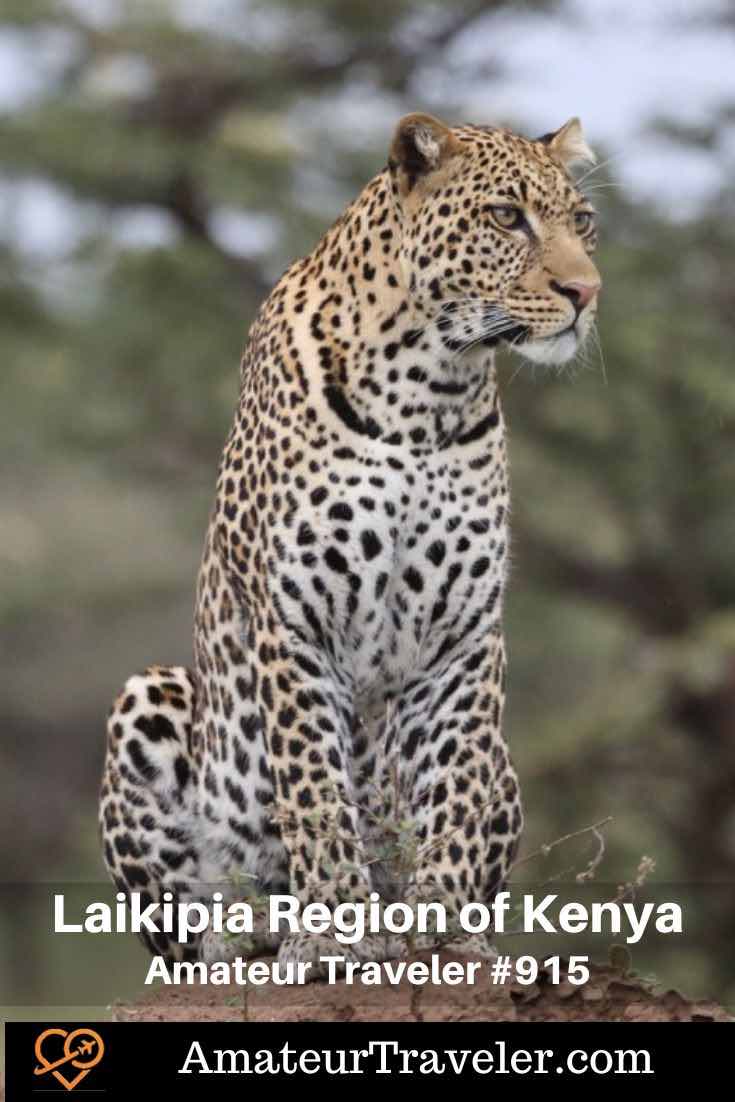 Explore the Laikipia Region of Kenya (Podcast) - Laikipia, Kenya: focusing on its exceptional conservation efforts, diverse wildlife, cultural interactions, and less crowded safari experiences #kenya #africa #safari #podcast