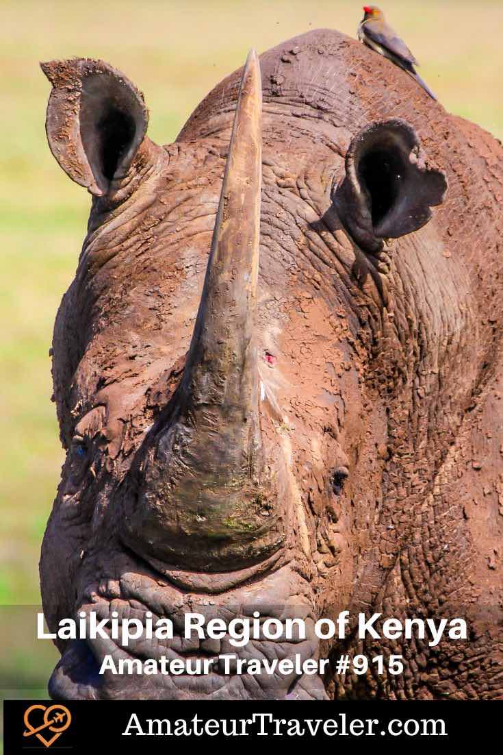 Explore the Laikipia Region of Kenya (Podcast) - Laikipia, Kenya: focusing on its exceptional conservation efforts, diverse wildlife, cultural interactions, and less crowded safari experiences #kenya #africa #safari #podcast