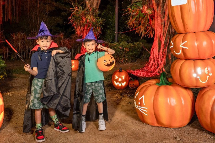 Discovery Bay Spooky Chills — Discovery Bay