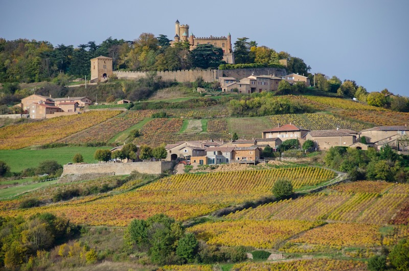 Beaujolais autumn vineyards