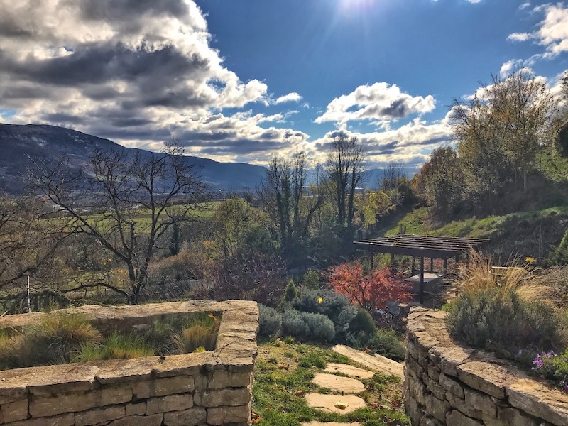 Garden in autumn