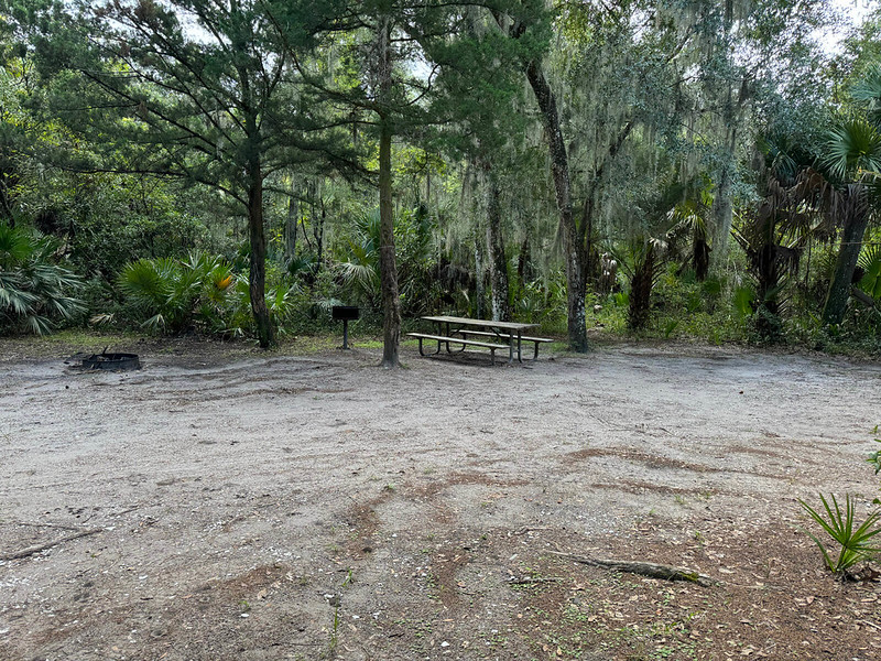 Sandy area in forest with picnic table