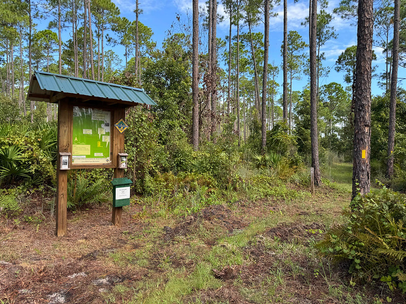 Trailhead kiosk in pine woods