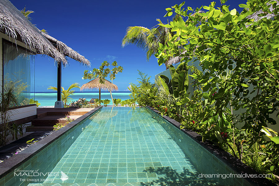 ozen maadhoo beach pool villa