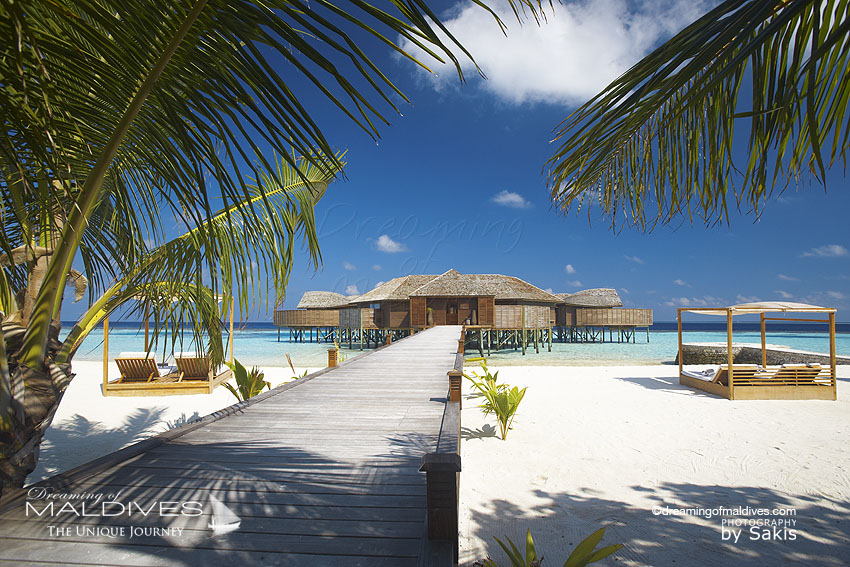 spa lily beach maldives