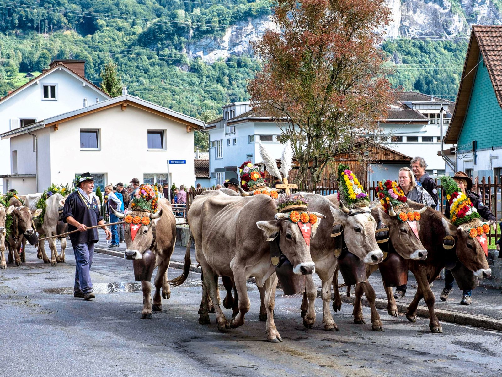 Cow Parade in Flims