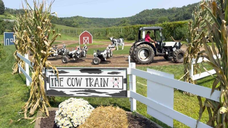 Ferguson Orchard Cow Train