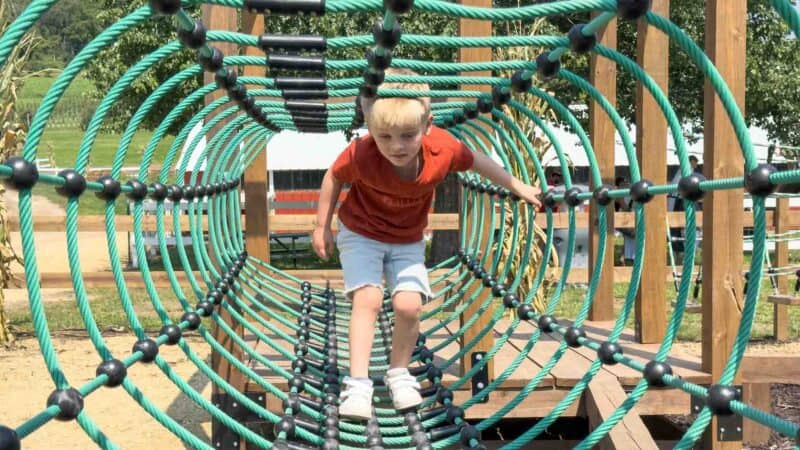 Ferguson Orchard Ropes Course