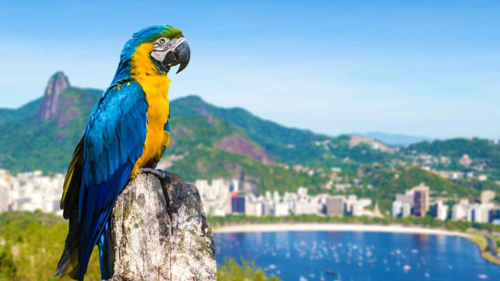 Rio de Janeiro Cruise Port