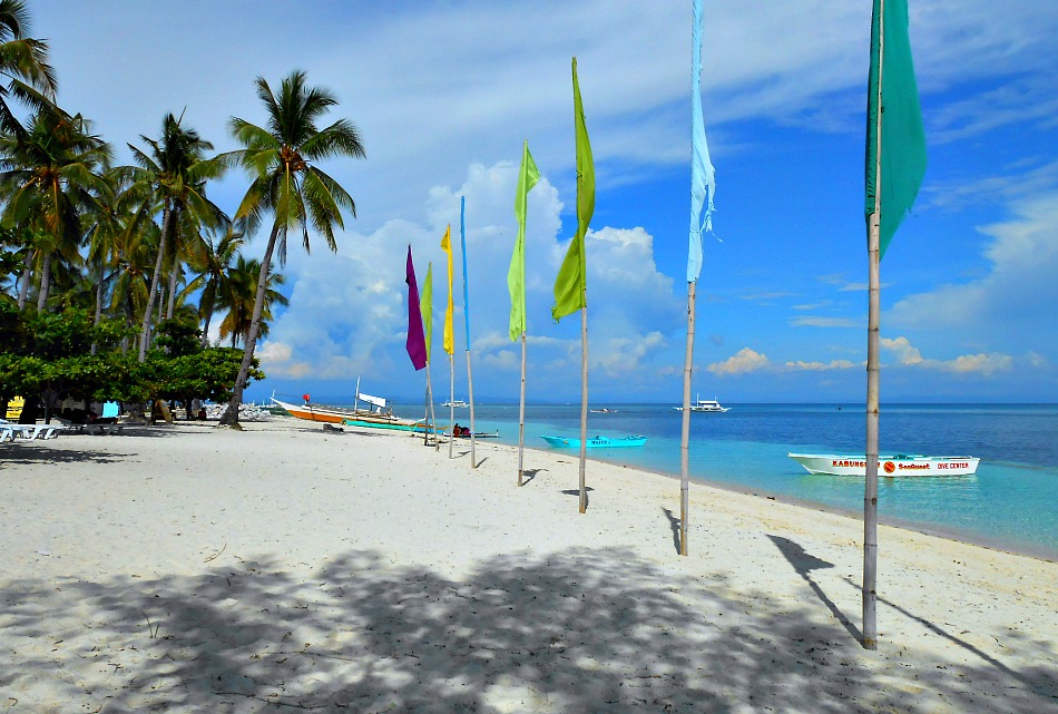 Malapascua Island Beach Resorts page provides info on white beaches and scuba diving sites to divers. Come, see and enjoy the sea of Malapascua teeming with colorful marine life.