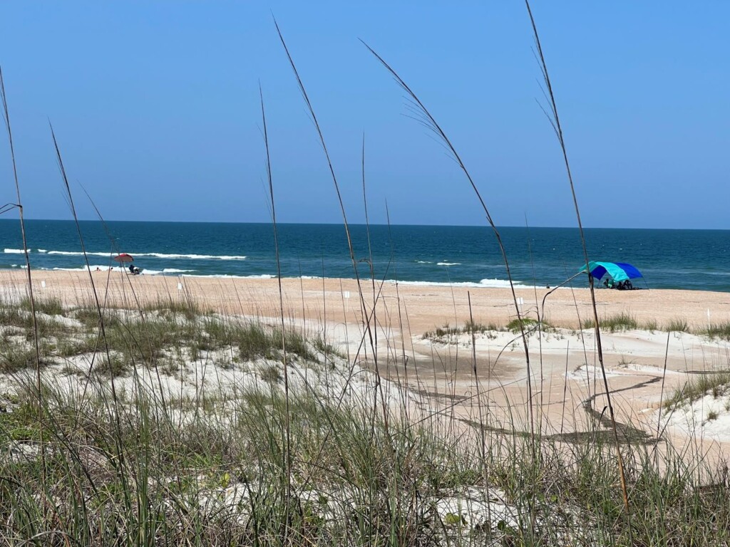 Beach view from the dunes at Anastasia State Park