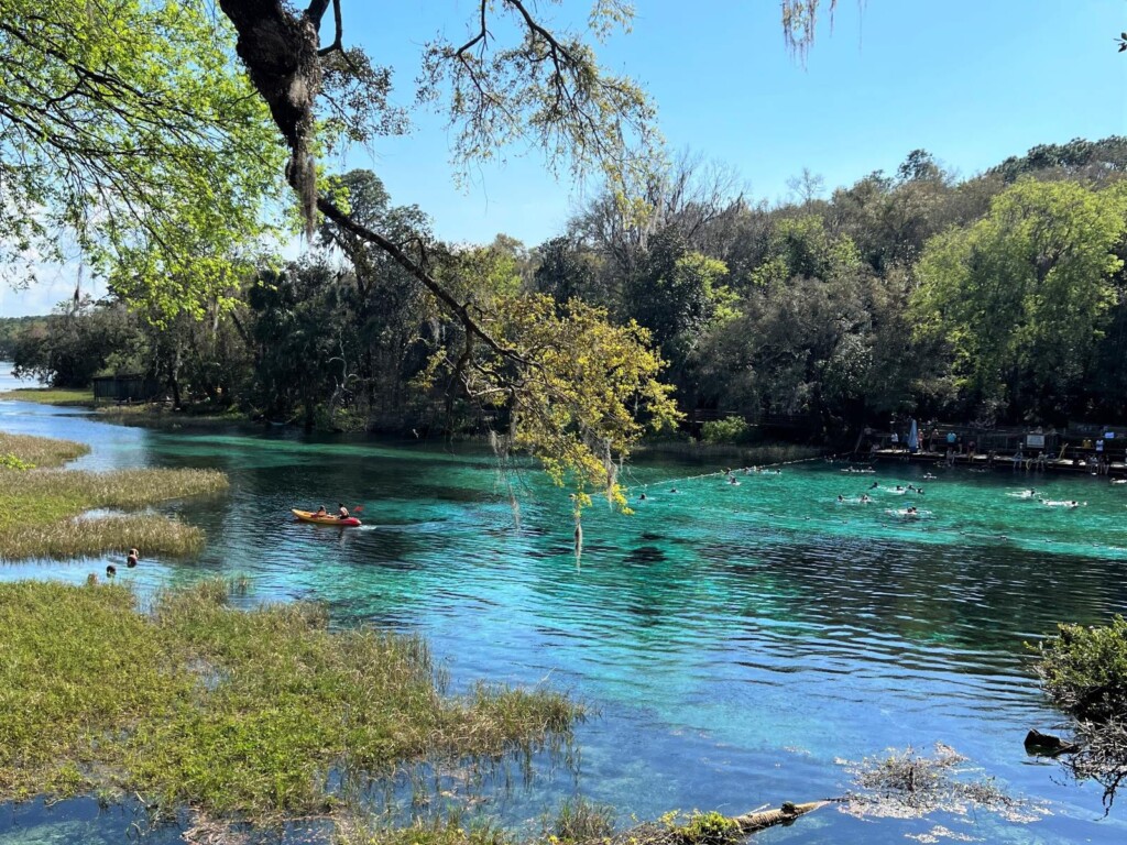 View of Rainbow Springs State Park