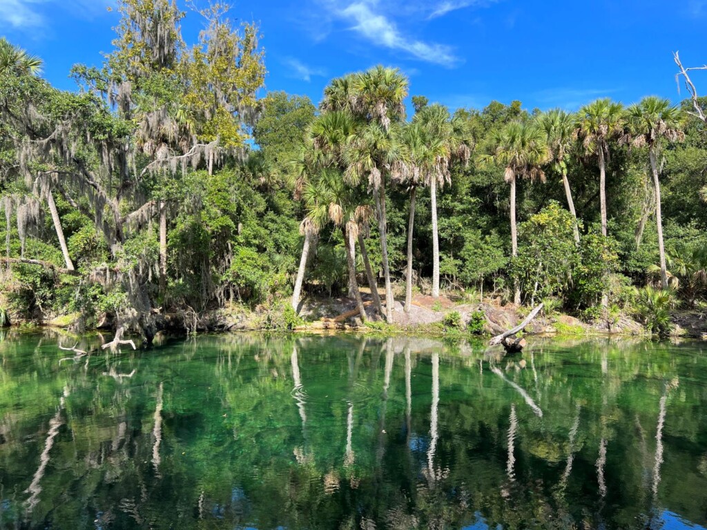 Swimming area at Blue Springs State Park