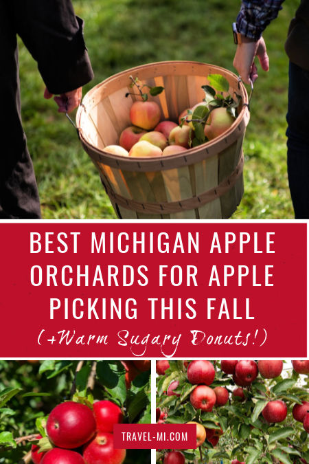 People carrying a bucket of apples