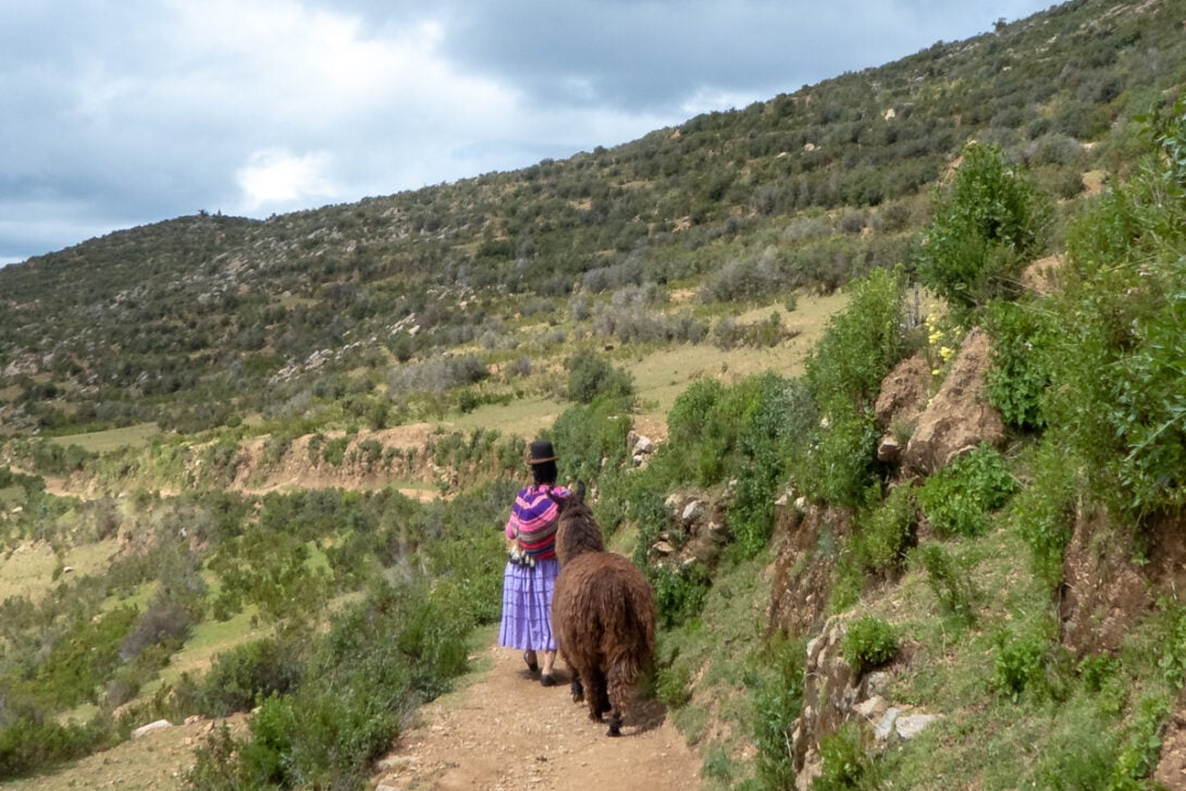 Lady with llama