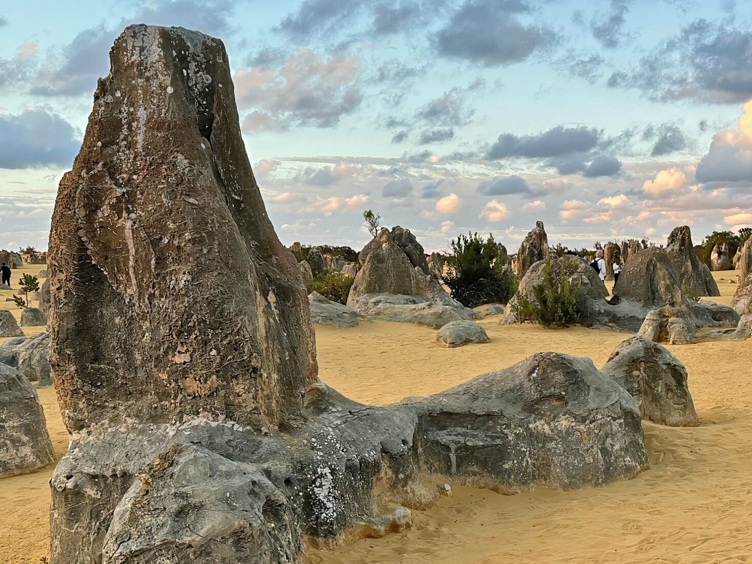 Wandering through the stunning and mysterious Pinnacles in Nambung National Park