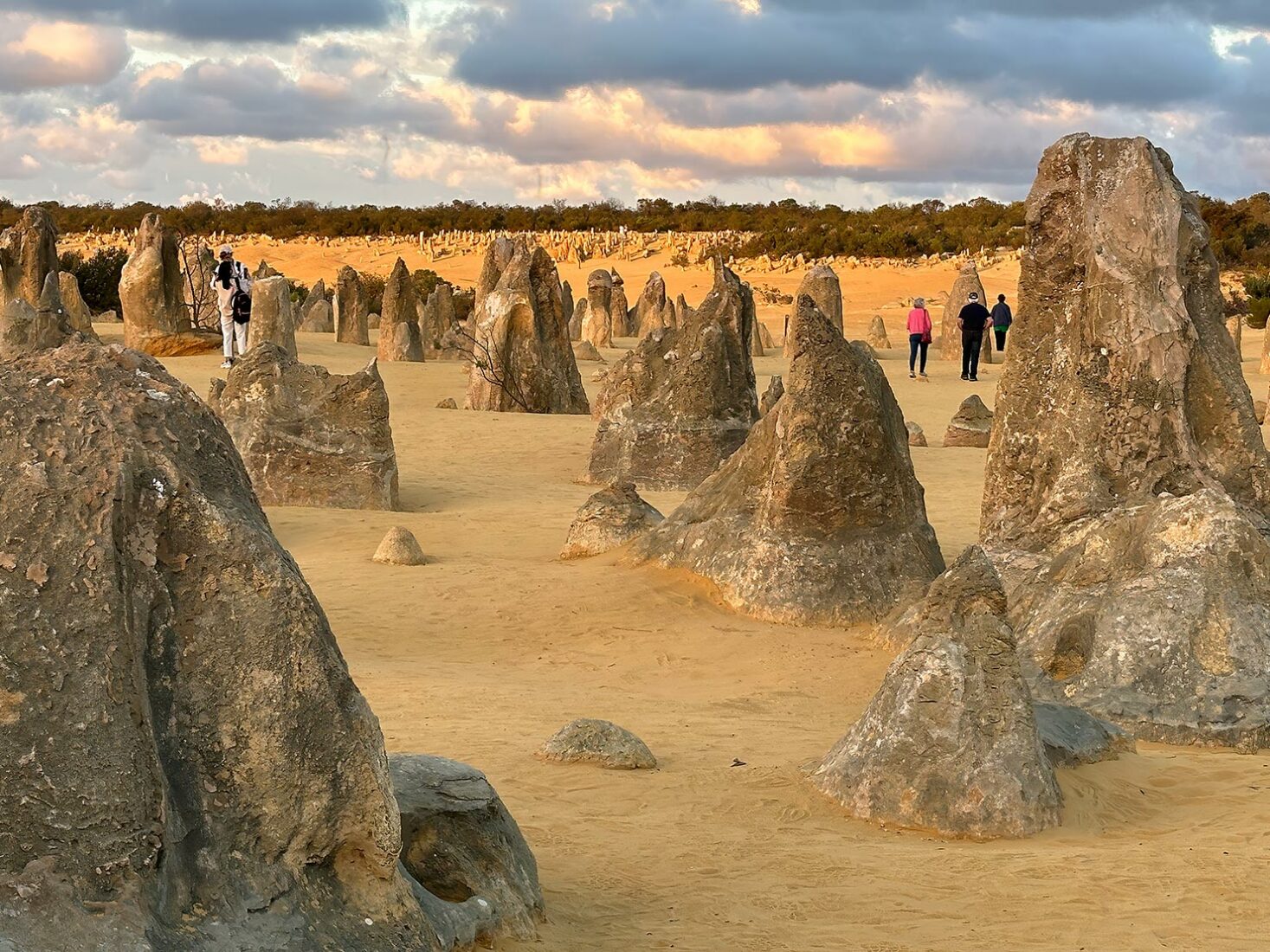 The main field of pinnacles is in the foreground, while a scattering of smaller pinnacles is seen in the background, on a small dune that is perfect for viewing the sunset