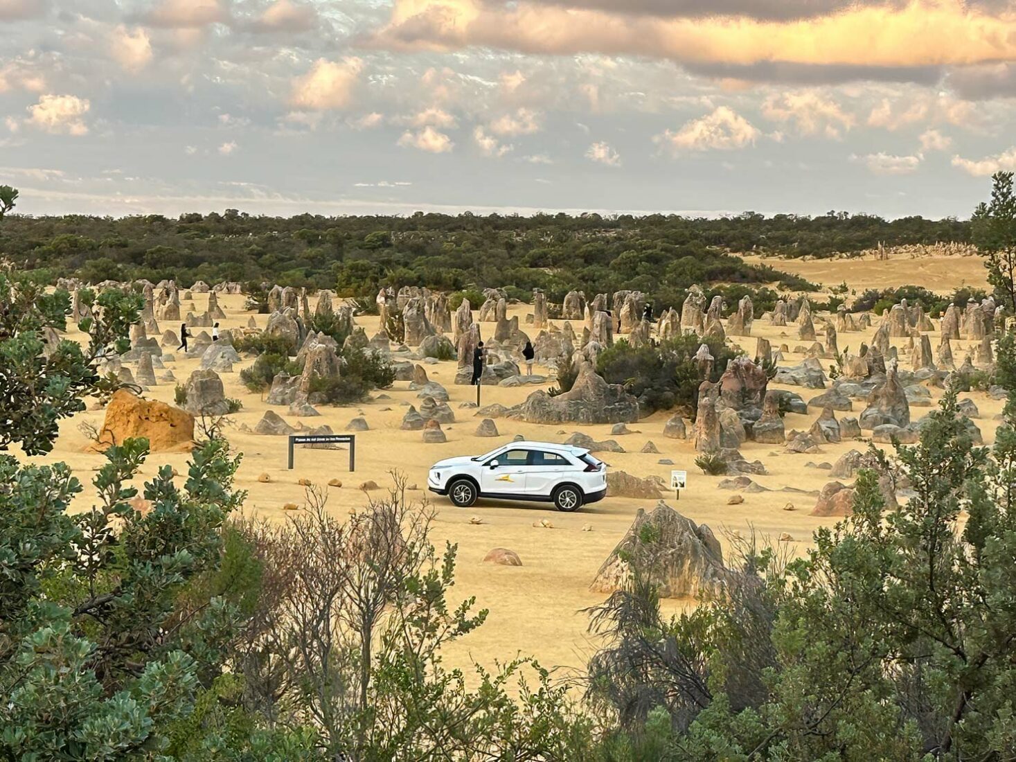 A flat sand road runs through The Pinnacles, making it easy to visit for those who choose not to walk