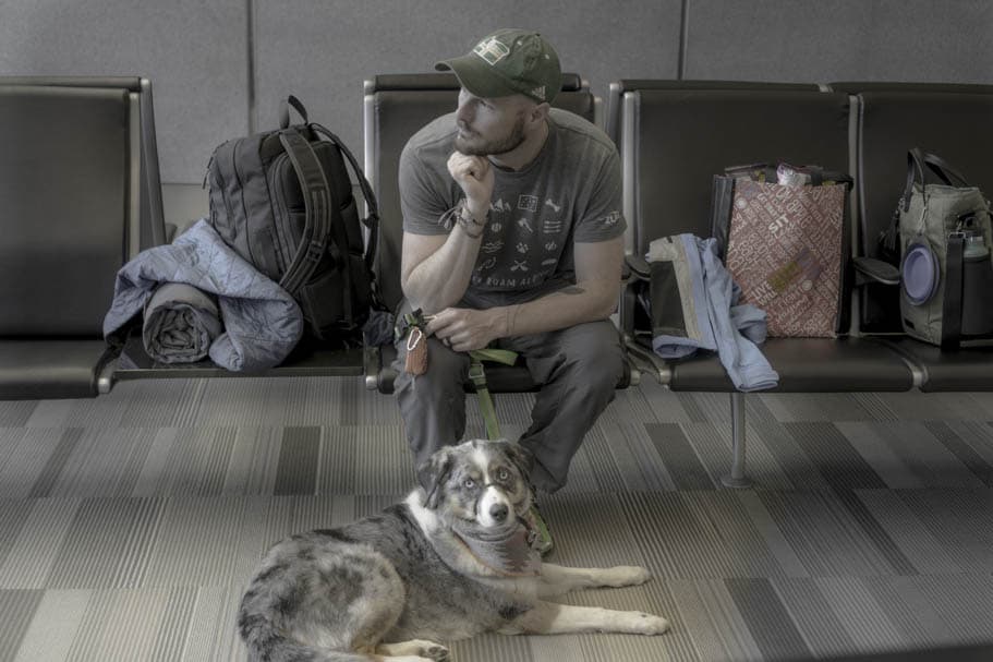 A pet waiting at the airport