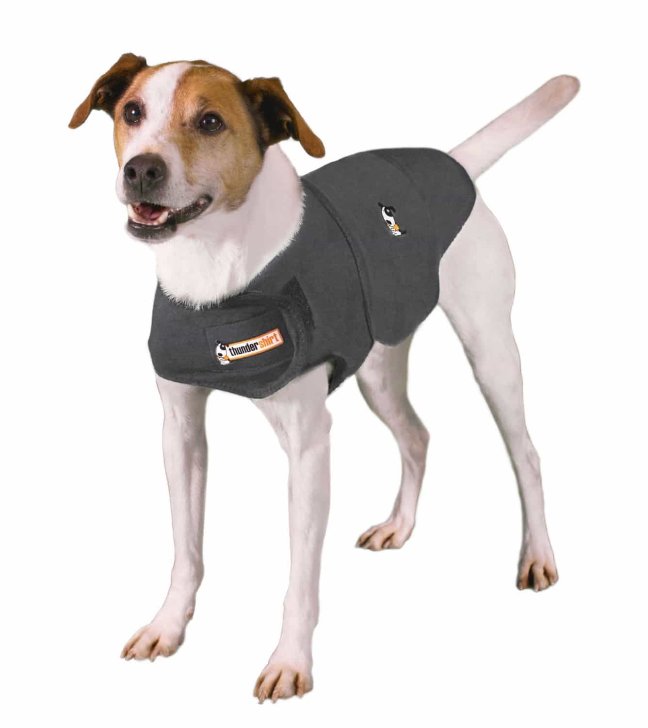 An example of a calming vest for pets.