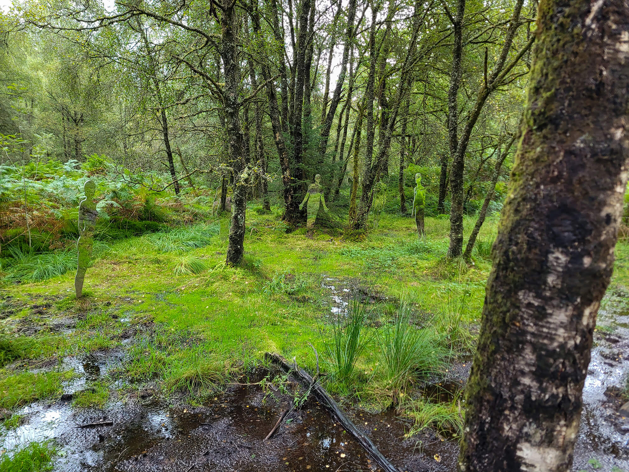 Reflective statues in the Queen Elizabeth Forest Park.