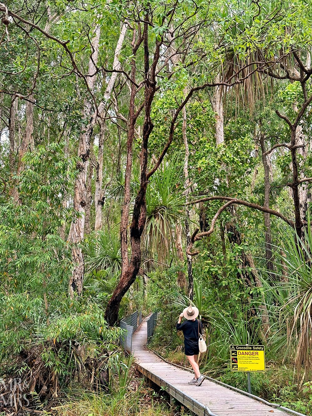 Maguk waterfall in Kakadu - the only bit of trek that's paved like this