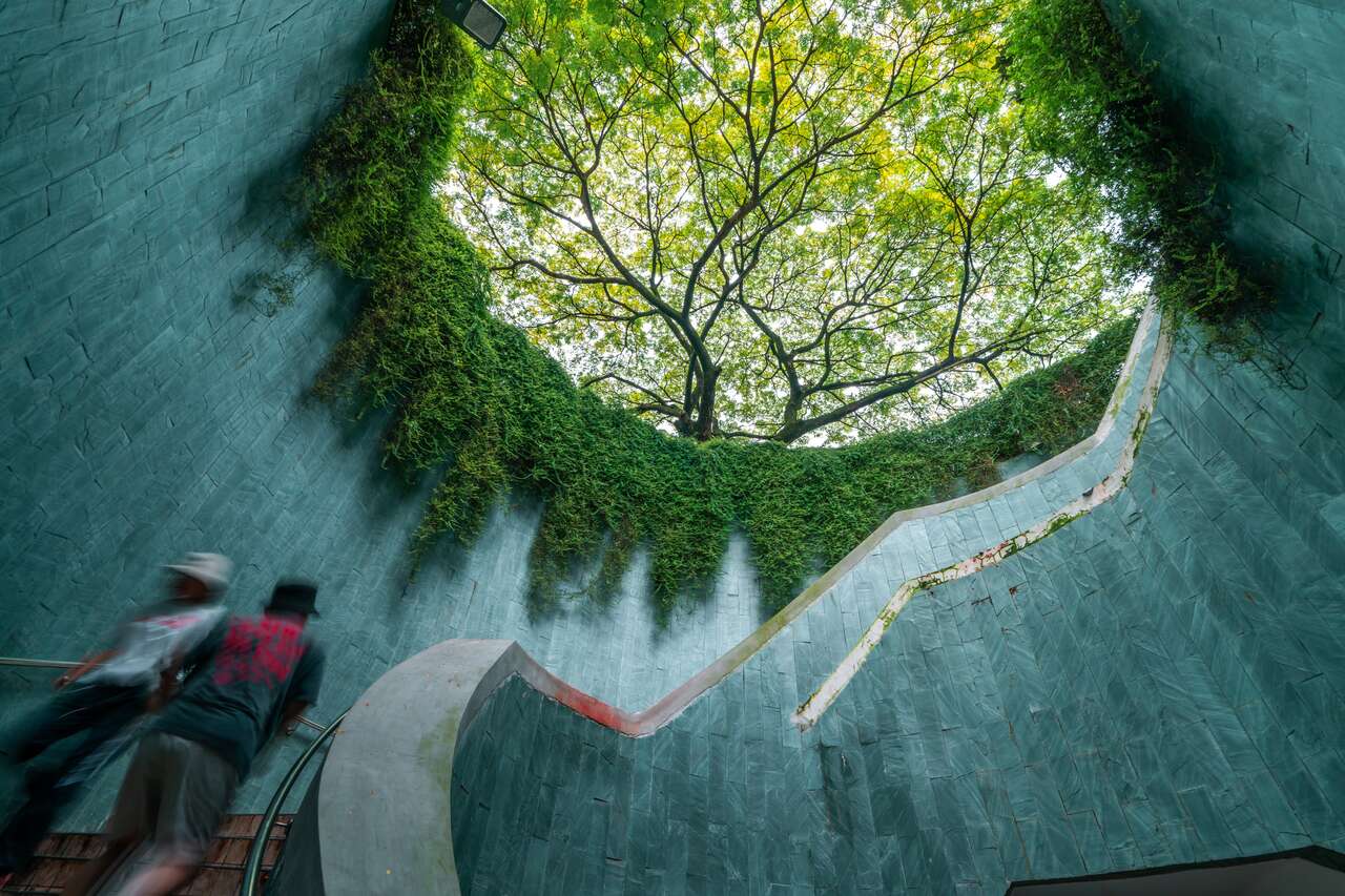 A person sitting at the tree tunnel at Fort Canning Park in Singapore