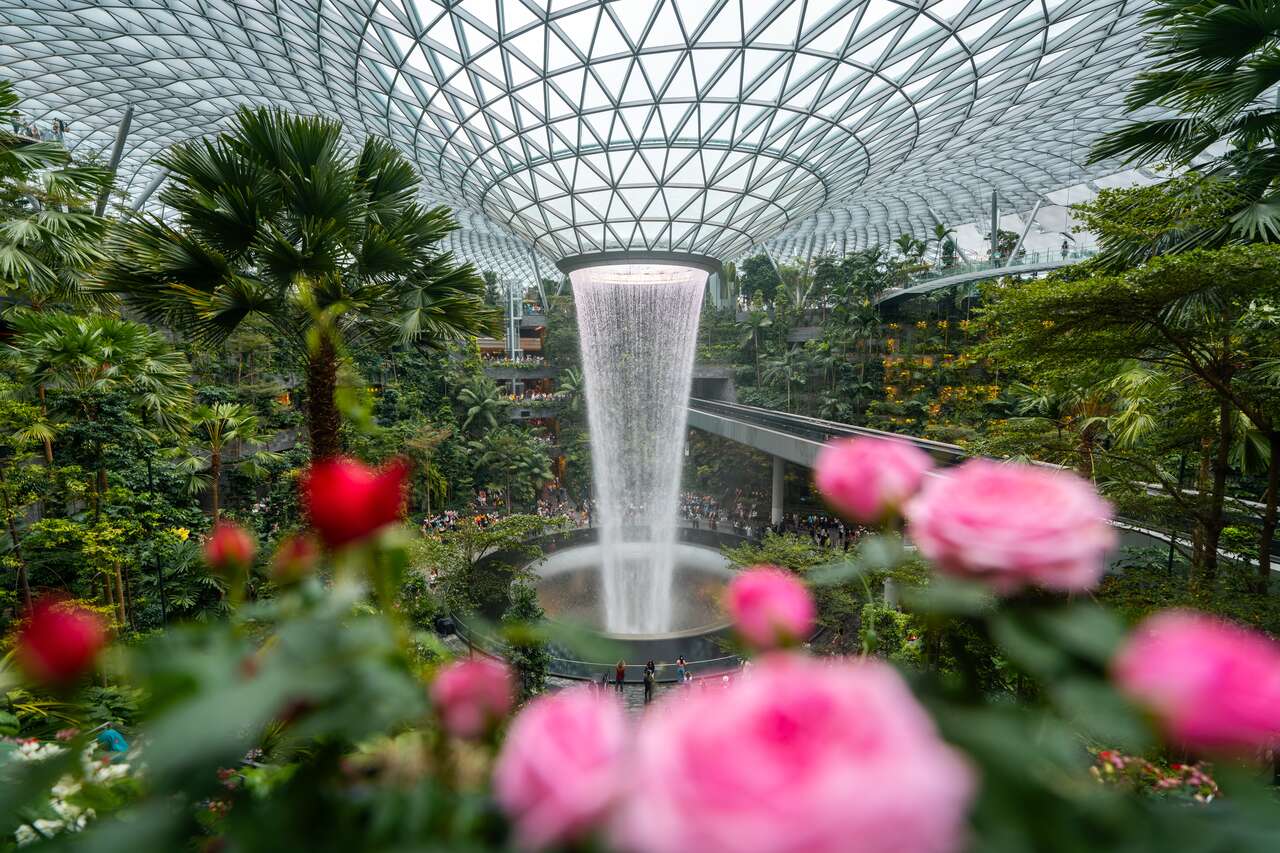 Jewel Rain Vortex and flowers in Singapore