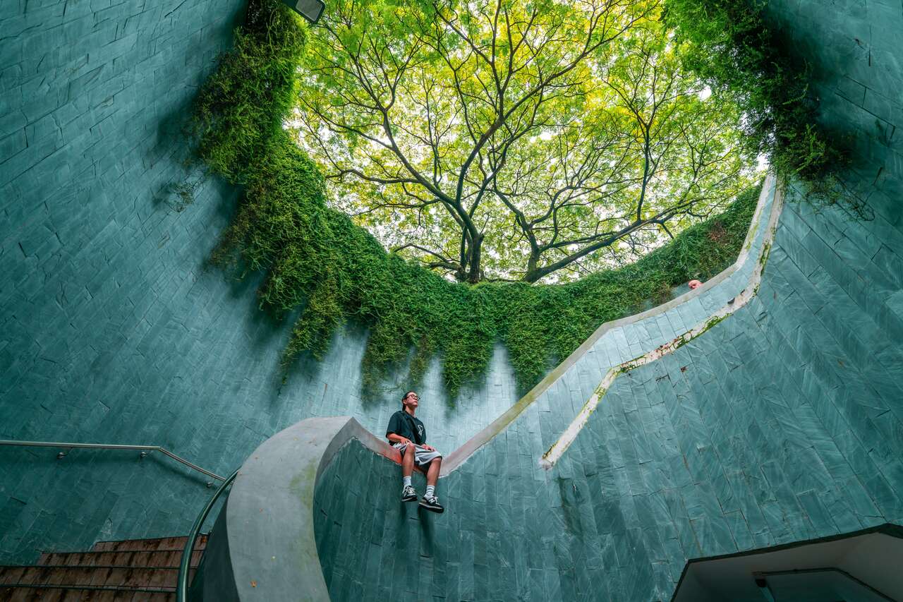 A person at the tree tunnel at Fort Canning Park in Singapore