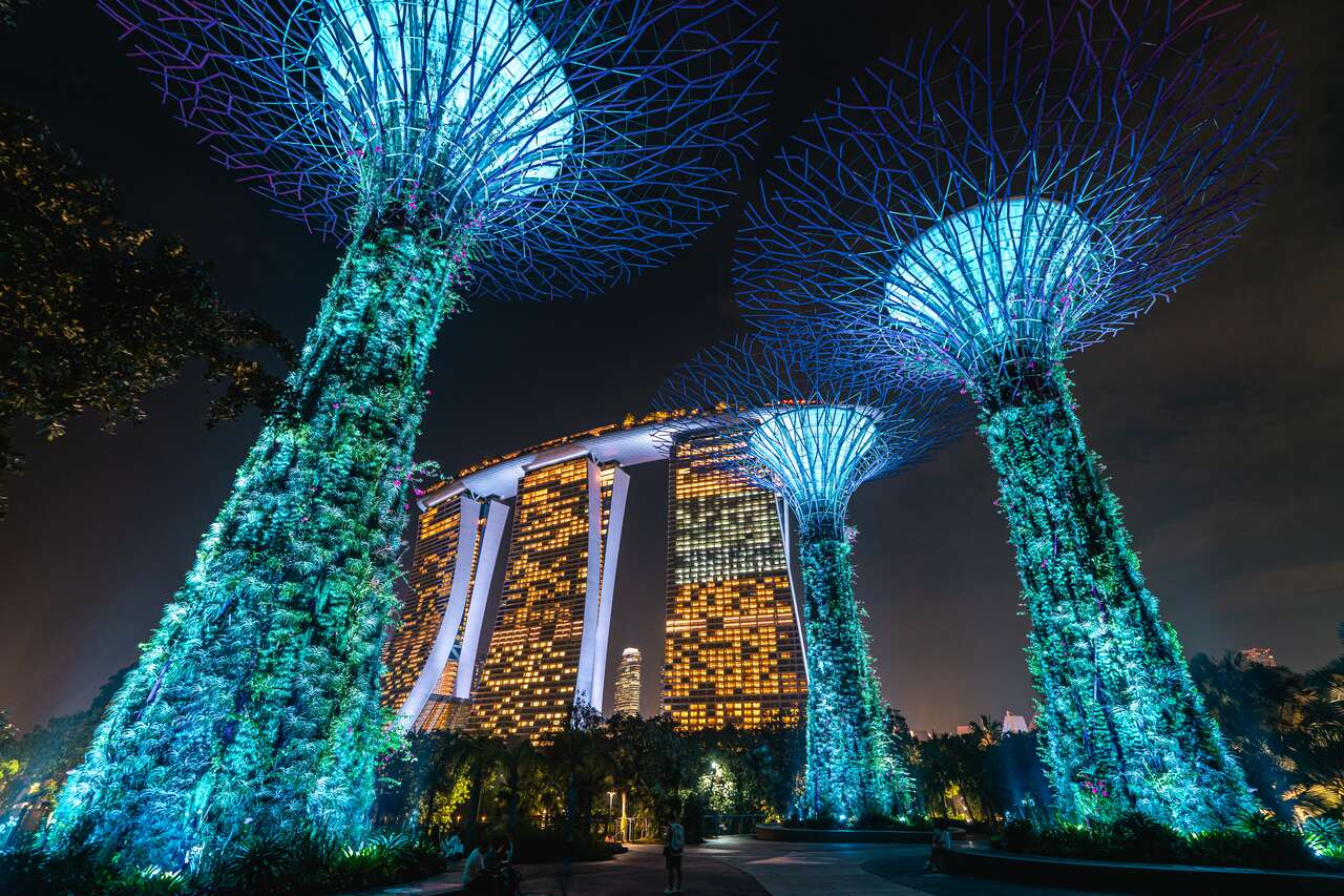 Gardens by the Bay at Night in Singapore