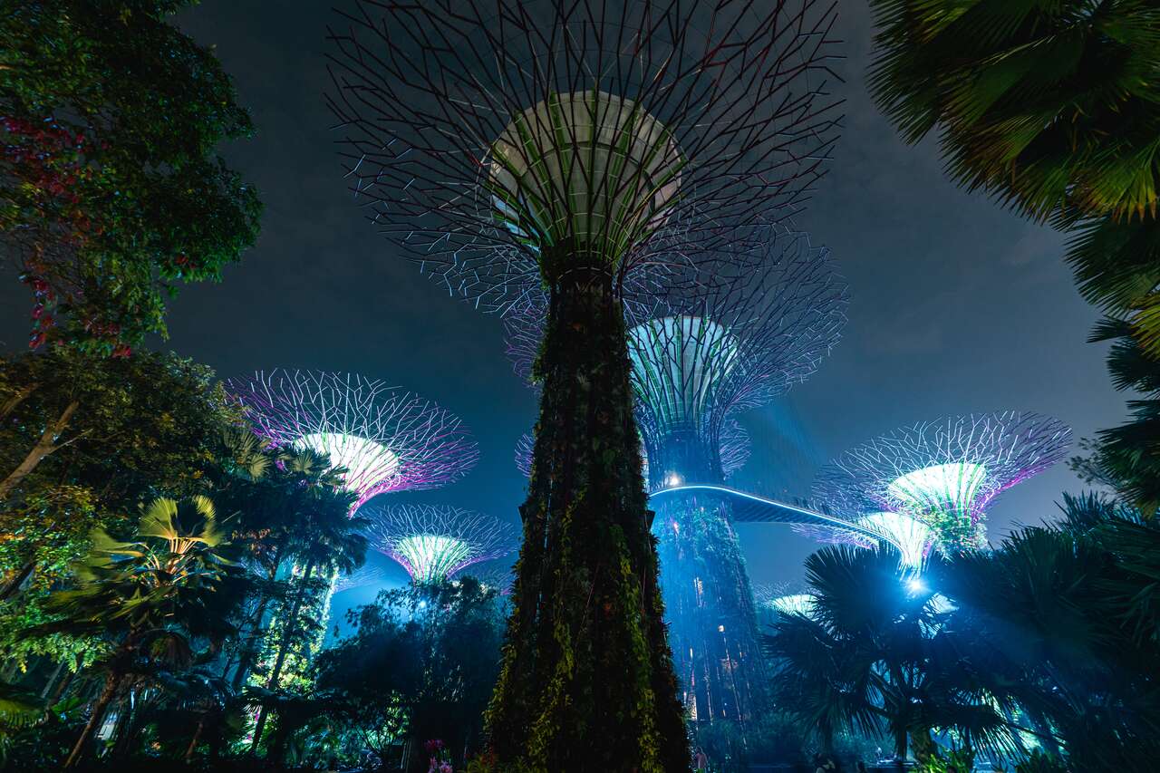 Lights at Gardens by the Bay in Singapore