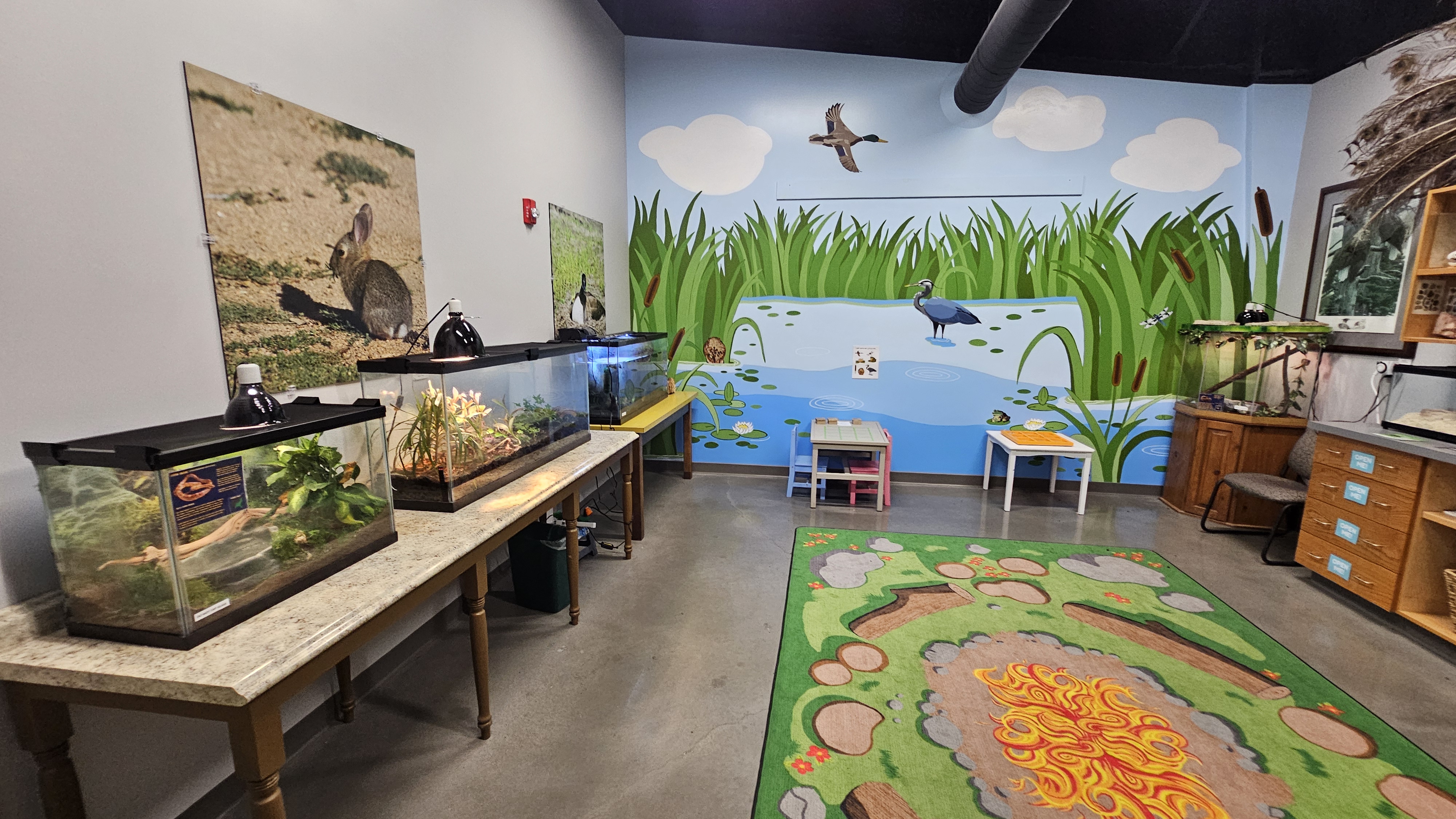 Children's Discovery Center