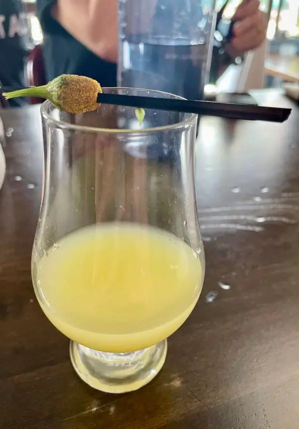 Small glass with a yellow beverage and a skewer with a buzz button laying across the top. This drink is served when taking the downtown walking food tour with Bites of the Bluegrass.