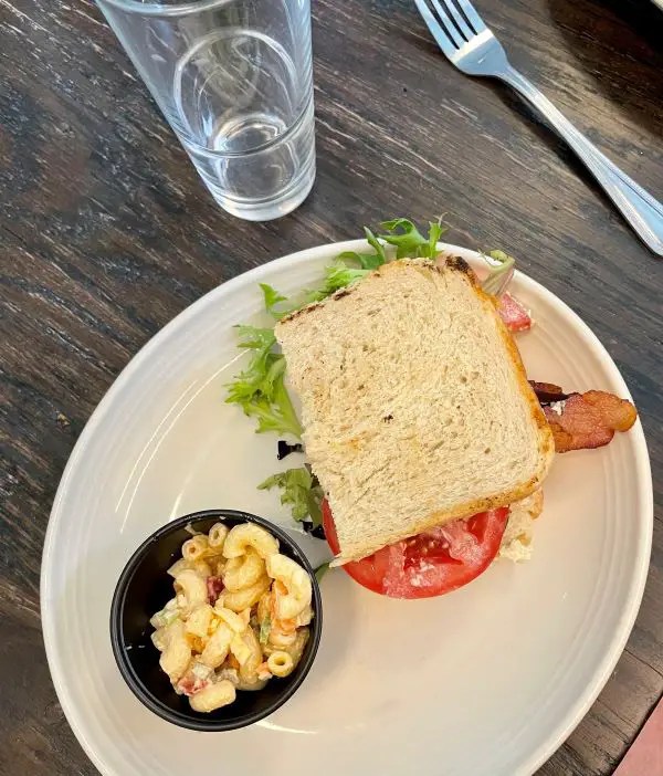 Half a sandwich with tomato and lettuce and a small serving of macaroni salad from Zim's Cafe in downtown Lexington.