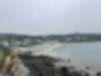 Dog looking out to Coverack Beach