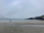 Boy and dog playing on Coverack beach