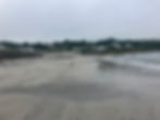 Dog running on Coverack Beach