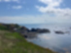 Lizard Point