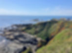 Lizard Point