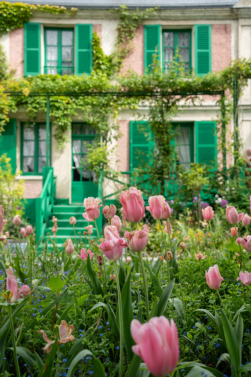 Tulips outside Monet's house in Giverny