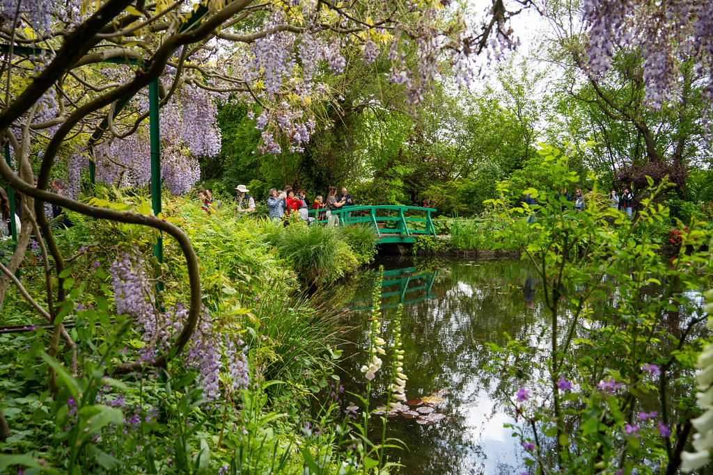 Small bridge with wisteria in Monet's water garden