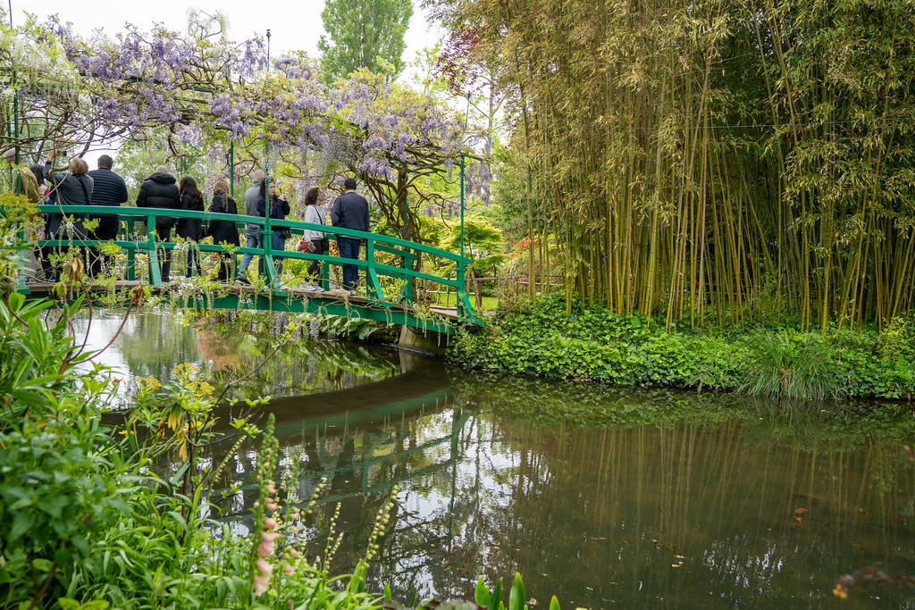 Japanese bridge and bamboo in Monet's water garden