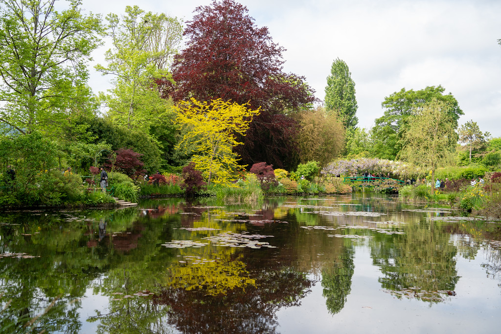 Monet's water lily pond in Giverny