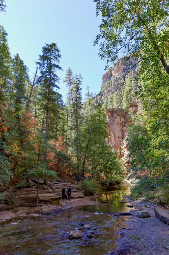 Scenic view of river through a canyon on the West Fork Trail in Sedona