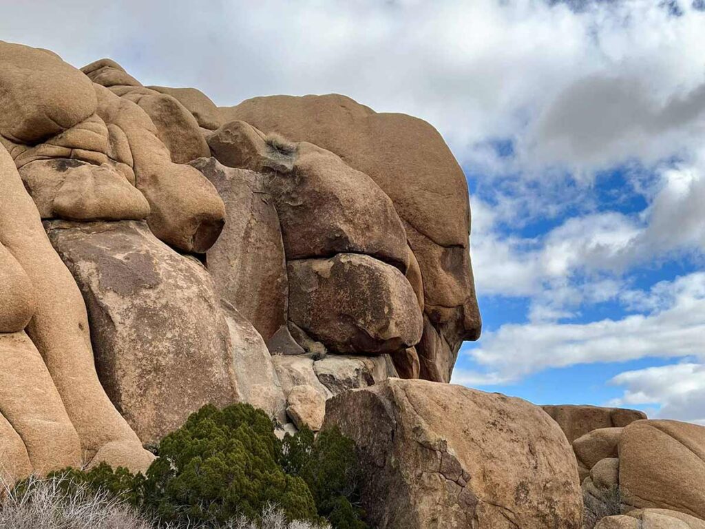 Face Rock in Joshua Tree National Park.