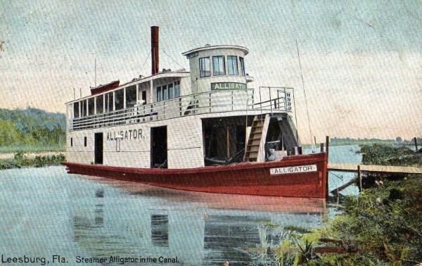 Steamboat Alligator