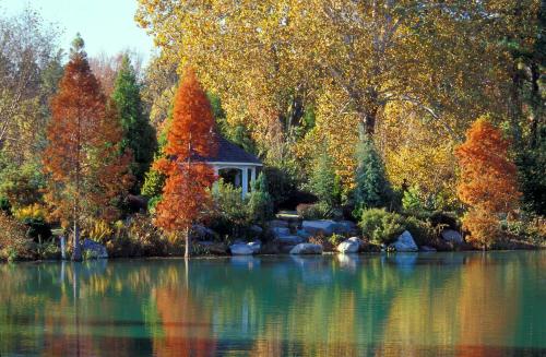 Lewis Ginter Fall