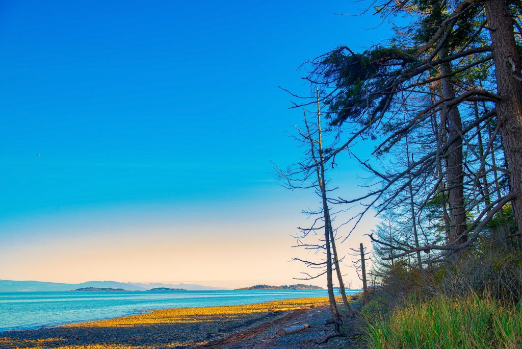 Explore the best British Columbia beaches for your next trip to BC. Discover stunning beaches along the coast, in the lower mainland, and the interior of BC. Perfect for family adventures from ocean to lake. #explorebc #hellobc #bcparks #yourtofino #osoyoosbc #exploreshuswap #bcbeaches #explorecanada